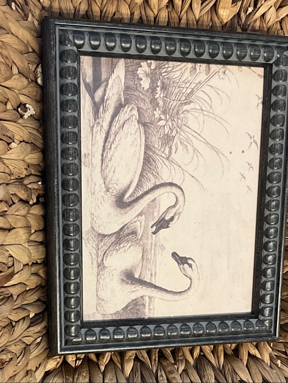 Vintage Swan Illustration in Black Carved Frame - Picture 2 of 3